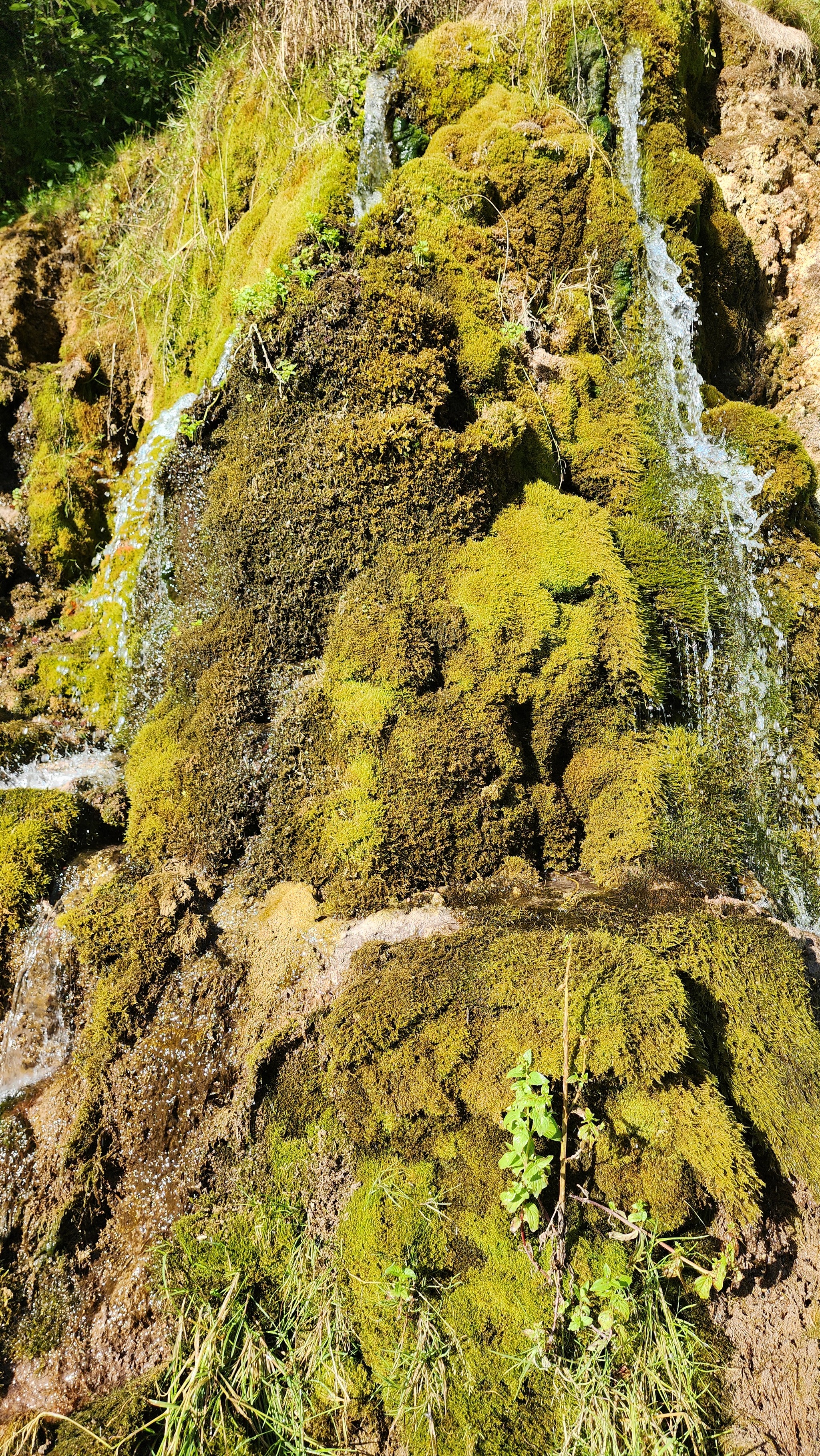 Three steps from home - Water - My, Moto, 3stephouse, sights, Water, Waterfall, Betonka, Ruza, Mozhaisk, Longpost