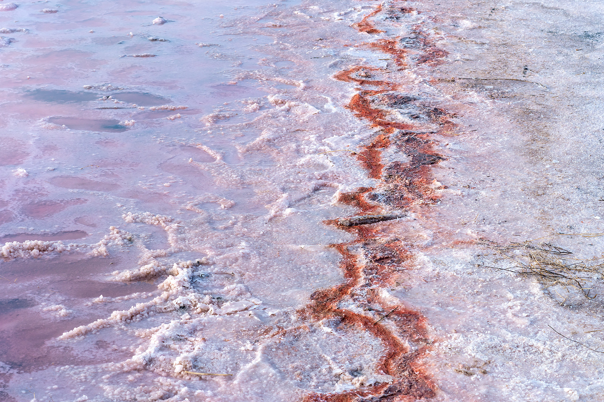 Salt lake in Crimea - My, Nature, Crimea, Salt Lake, The author's world, Unusual, Longpost