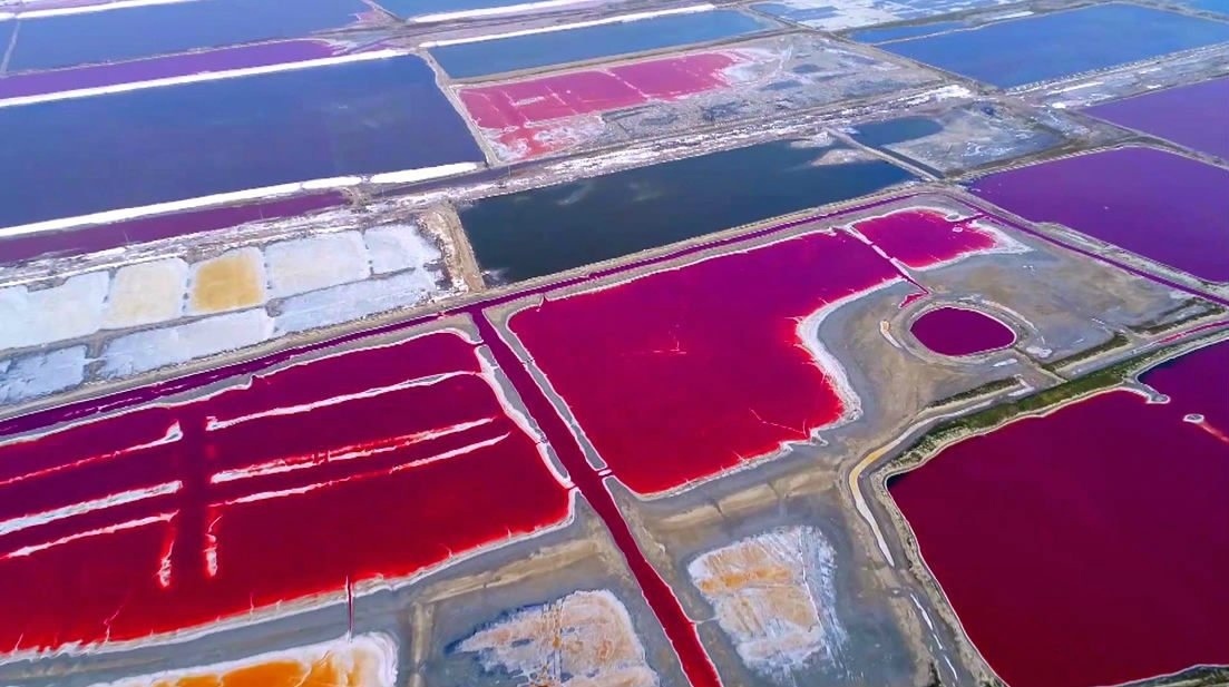 Nature is the best artist: due to the heat, the algae in Lake Yanhu bloomed in different colors - The photo, Lake, Nature, Longpost, Repeat