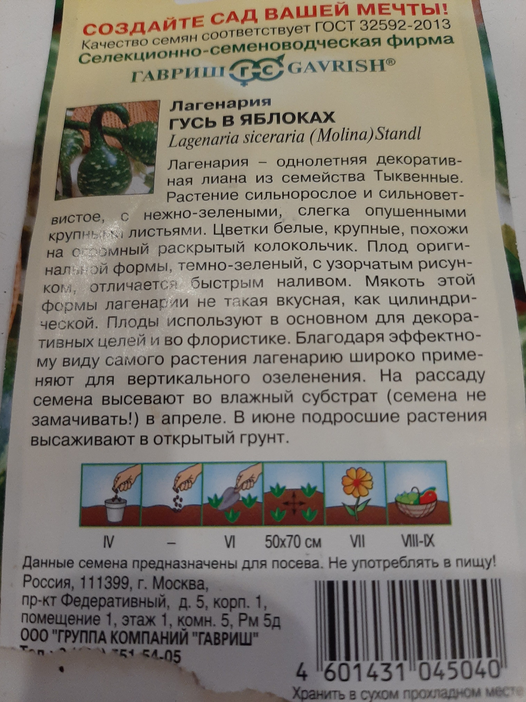 Арбузы средней полосы. Часть I. Начальная - Моё, Арбуз, Огород, Урожай, Выращивание, Сельское хозяйство, Садоводство, Сад, Растения, Длиннопост