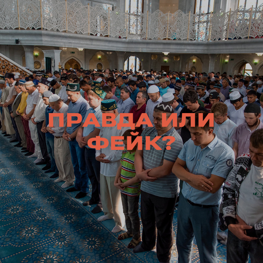 There will be administrative liability for praying in public places - true or fake? - Media and press, Politics, Fake news, news, Religion, Ministry of Internal Affairs, Namaz, Prayer, Public place, Irina Volk, Telegram (link), Longpost