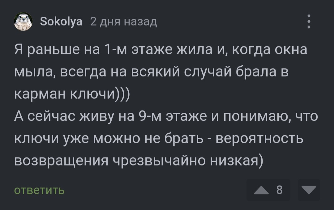 Рациональный подход - Мытье окон, Рациональное мышление, Юмор, Комментарии на Пикабу, Скриншот