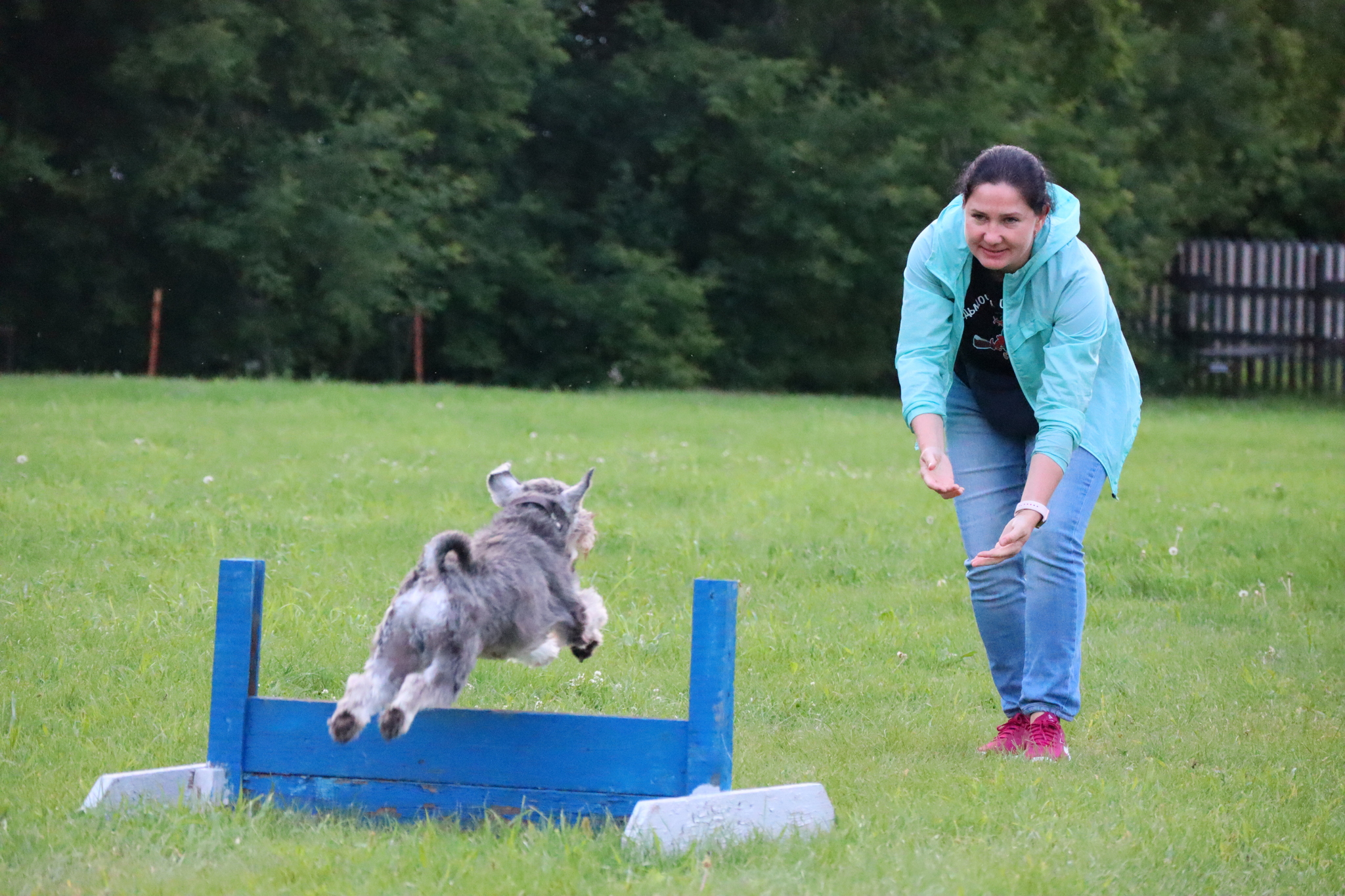 Dog training in Omsk - OTSSS - Training, Dog, Dog lovers, Puppies, Omsk, Longpost