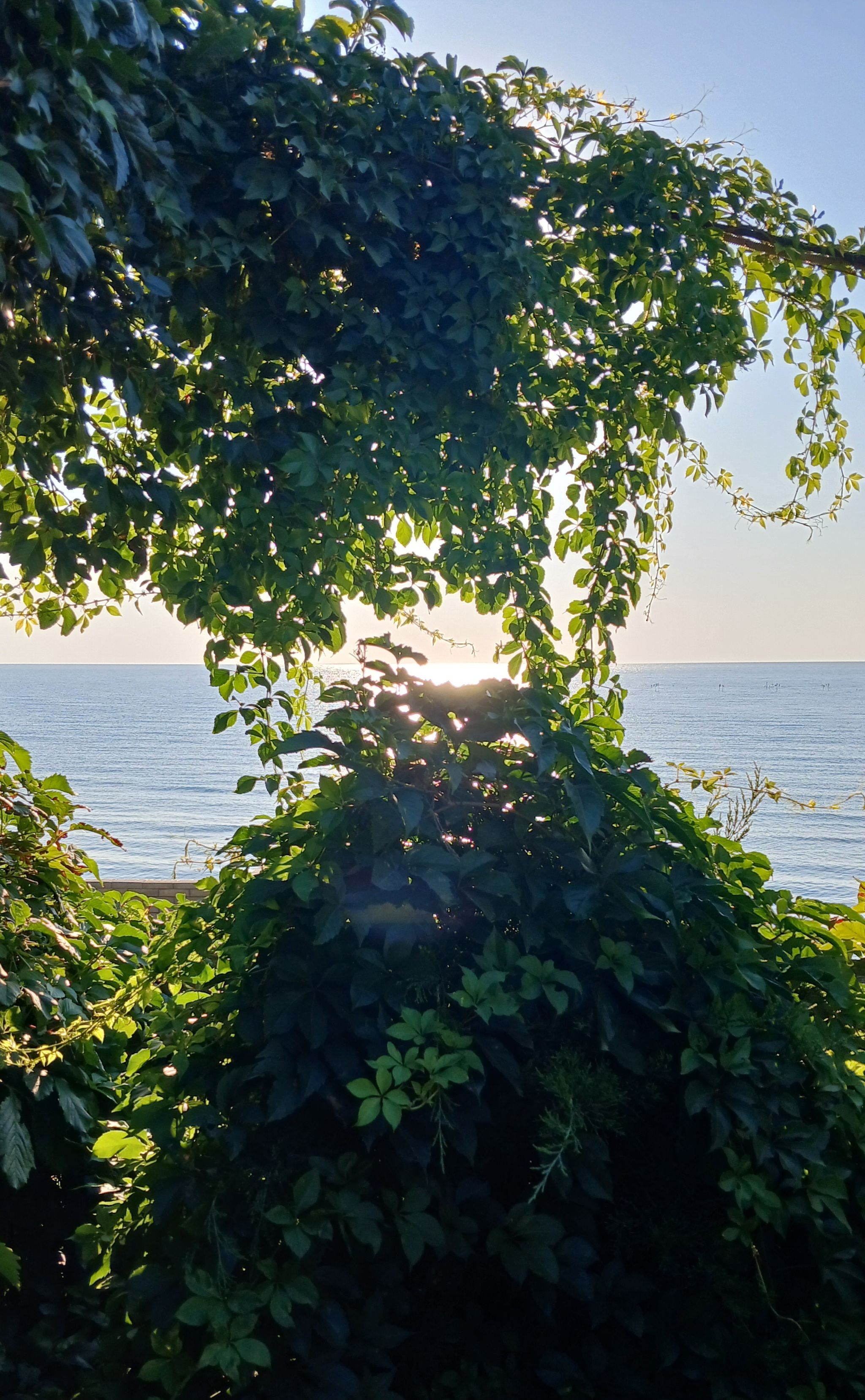 On the Sea of ??Azov with family! - My, Travels, Sea, Azov sea, Weekend, Vacation, Crimea, Family holiday, Family, A son, Sunset, Sand, Summer, Seashells, Tourism, Longpost