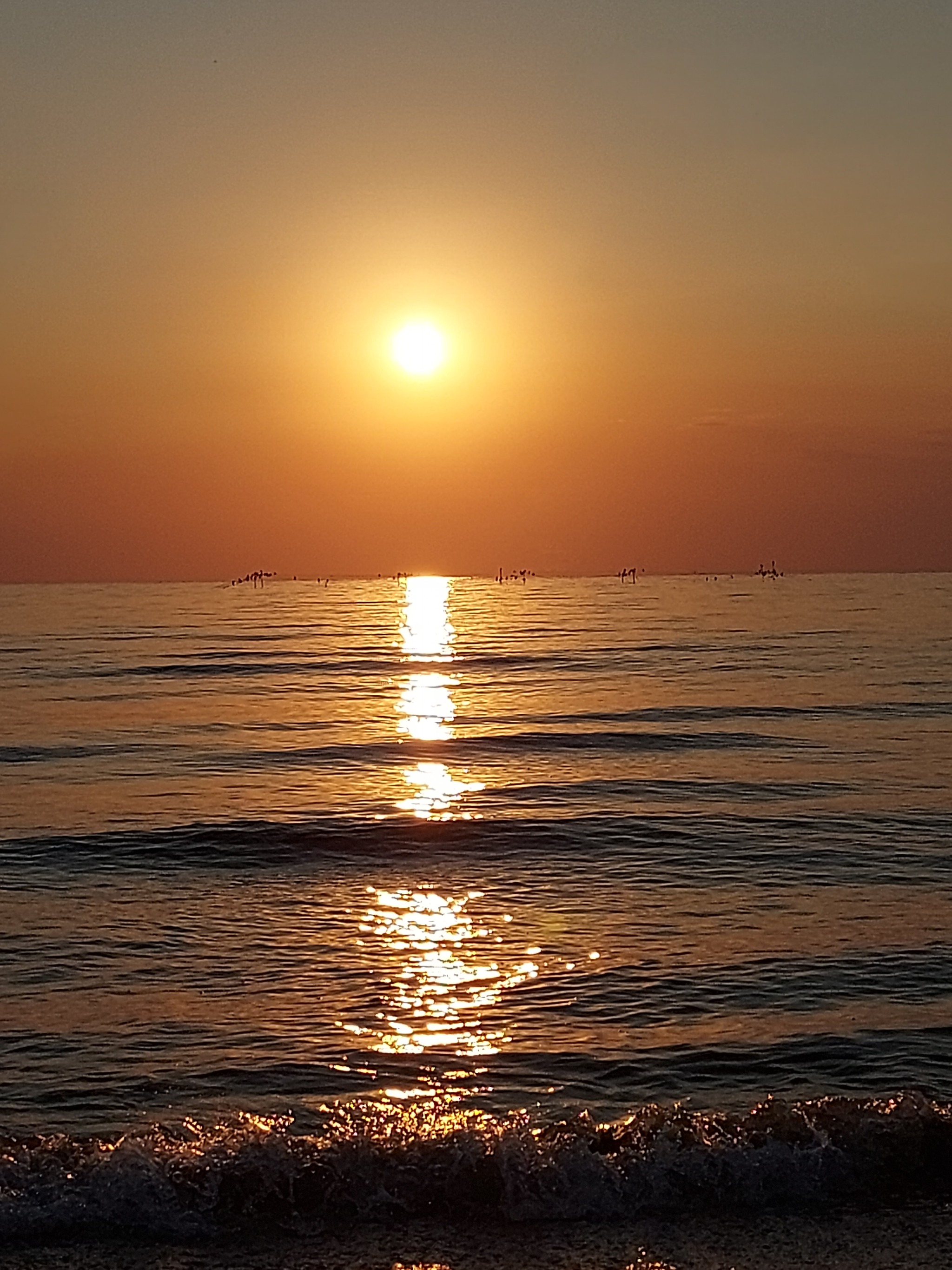 On the Sea of ??Azov with family! - My, Travels, Sea, Azov sea, Weekend, Vacation, Crimea, Family holiday, Family, A son, Sunset, Sand, Summer, Seashells, Tourism, Longpost