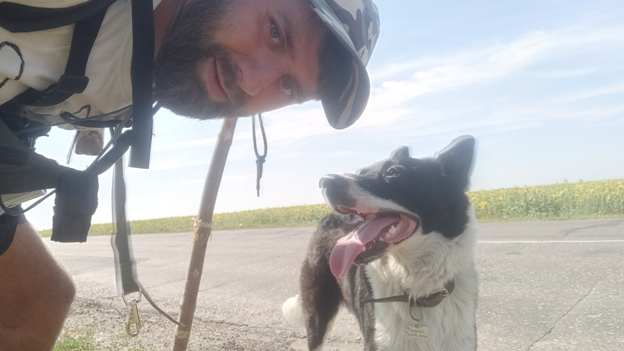 How my dog ??and I got from Samara to Penza on foot - My, Hiking, Travels, Wild tourism, Travel across Russia, Travelers, Wanderer, Longpost