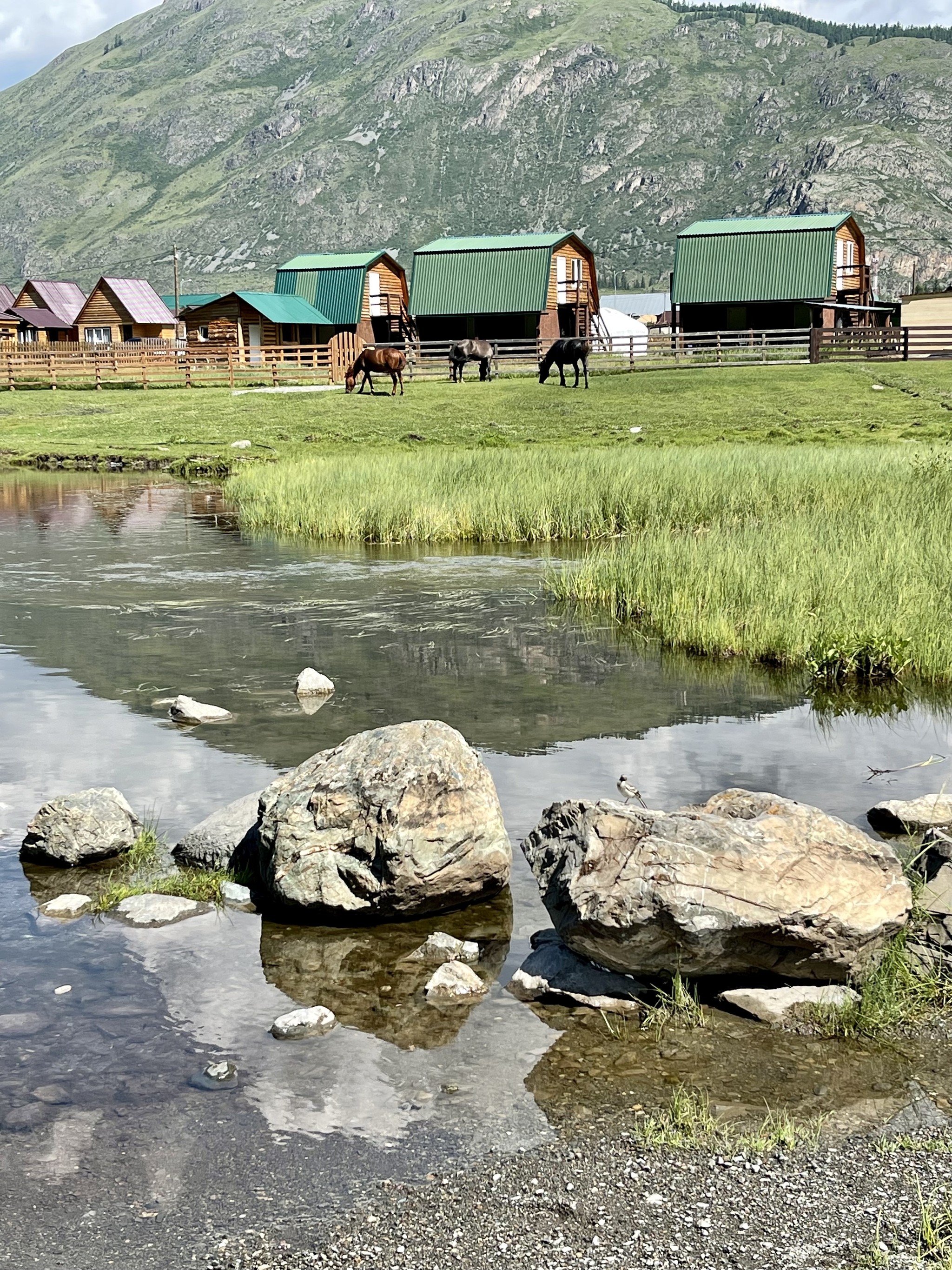 It's not as bad as it seems - My, Sanya and Marina, Relaxation, Altai Republic, Longpost