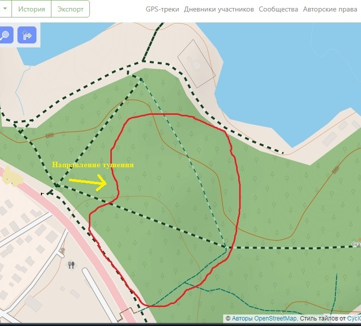 Investigating a forest fire - My, Fire, Incident, Расследование, Ministry of Emergency Situations, Forest, Longpost