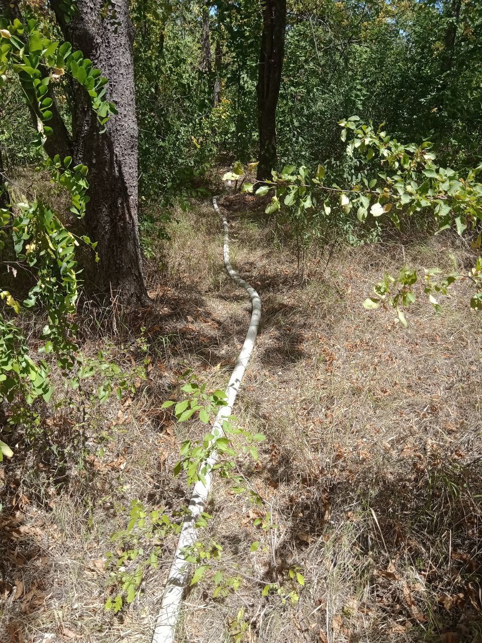 Investigating a forest fire - My, Fire, Incident, Расследование, Ministry of Emergency Situations, Forest, Longpost