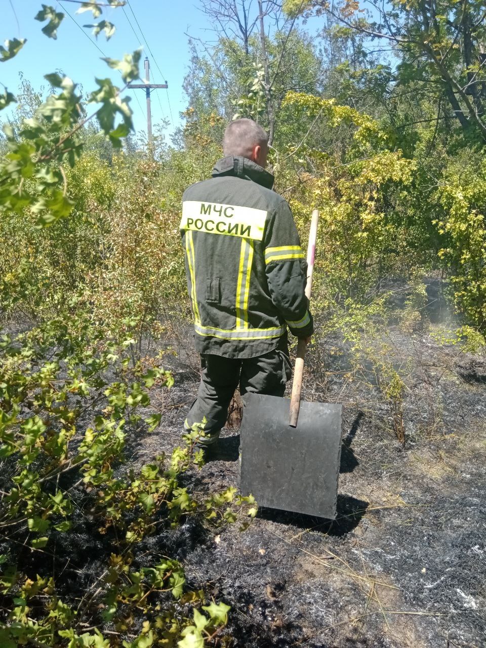 Investigating a forest fire - My, Fire, Incident, Расследование, Ministry of Emergency Situations, Forest, Longpost