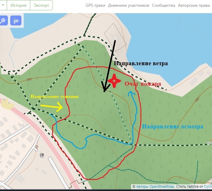 Investigating a forest fire - My, Fire, Incident, Расследование, Ministry of Emergency Situations, Forest, Longpost