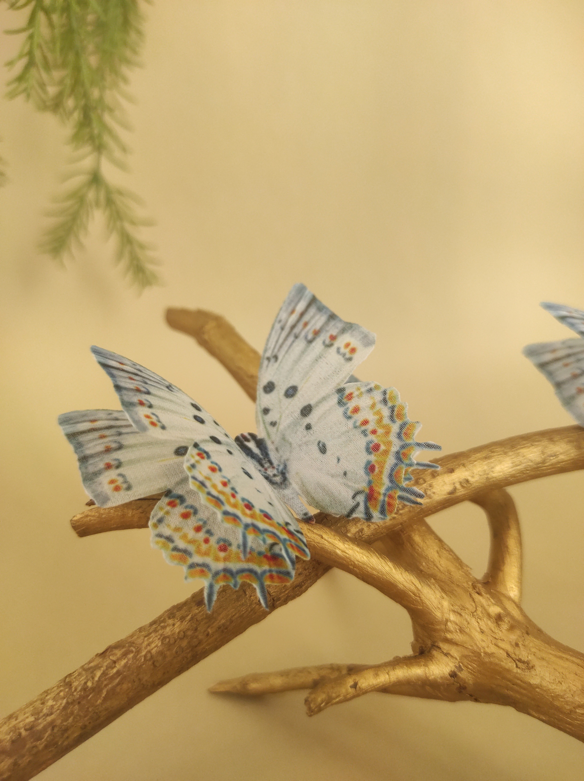 Jewelry that flutters - My, Decoration, Butterfly, Handmade, Hobby, Video, Soundless, Longpost, Needlework without process