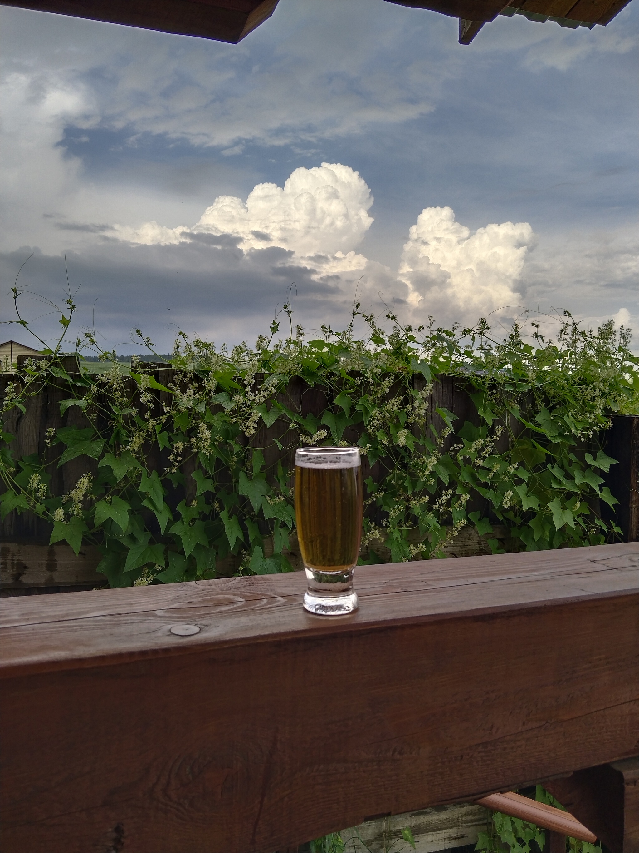 Just like that, to share a good mood! - My, Clouds, Beer, Kindness, The photo