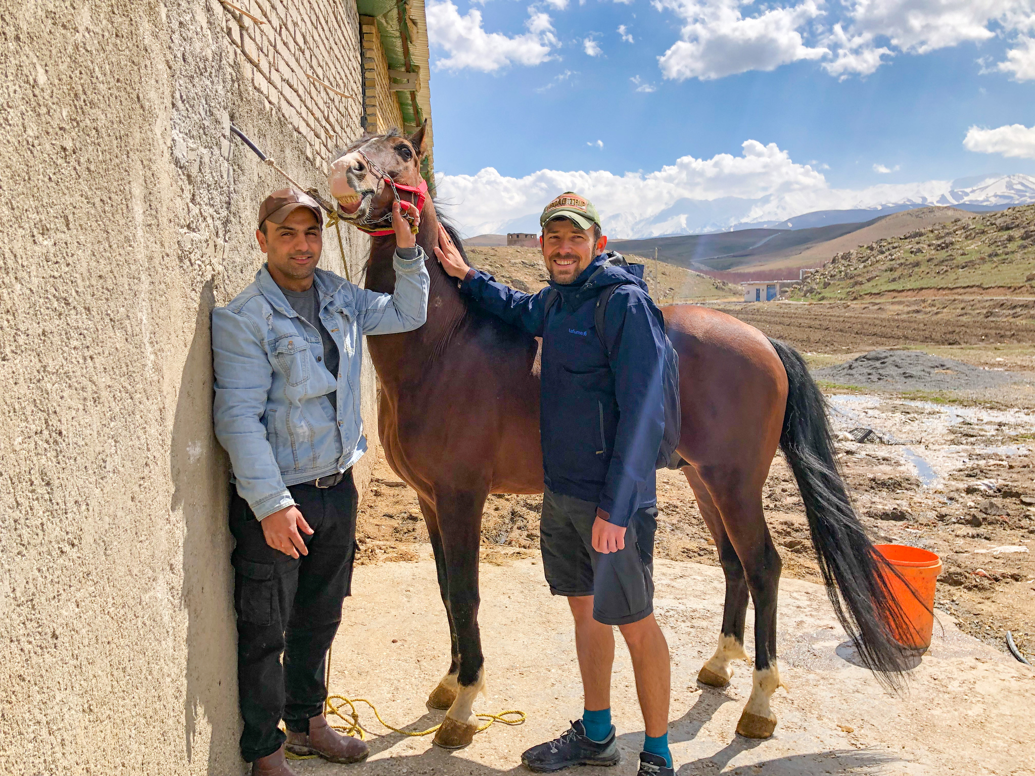 Nahavand. I continue to study the Iranian province - My, Iran, Travels, Horses, Video, Youtube, Vertical video, Longpost