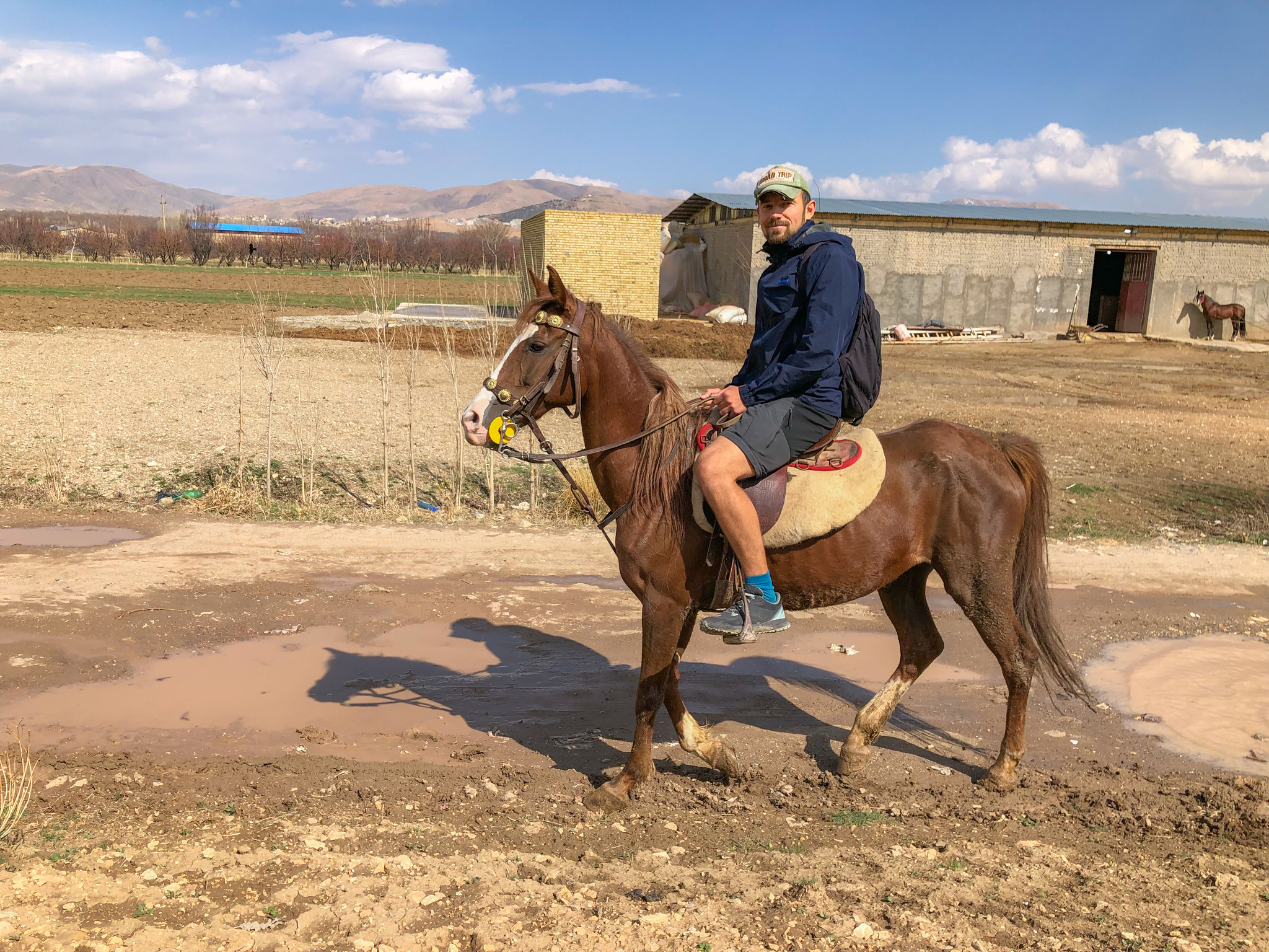 Nahavand. I continue to study the Iranian province - My, Iran, Travels, Horses, Video, Youtube, Vertical video, Longpost