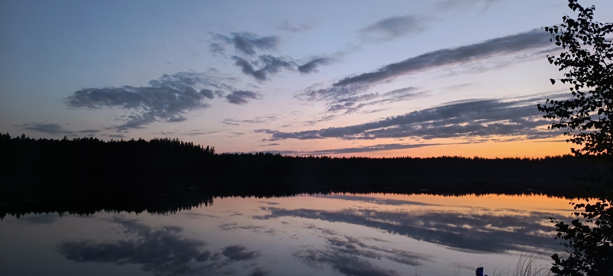 Eh, summer... - The photo, Summer, No filters, Nature, Landscape