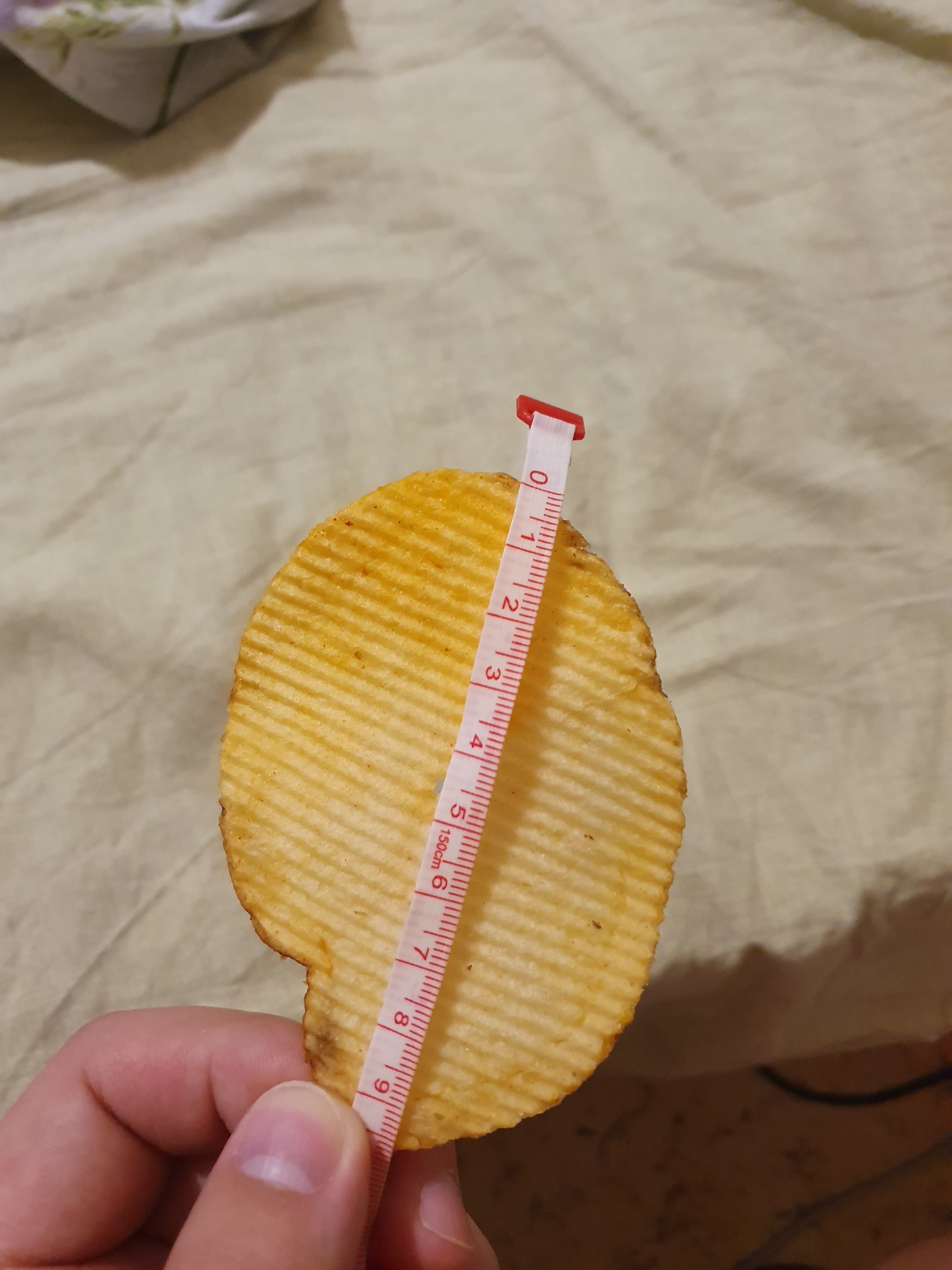 The biggest chip - My, Crisps, The size, Longpost, The photo