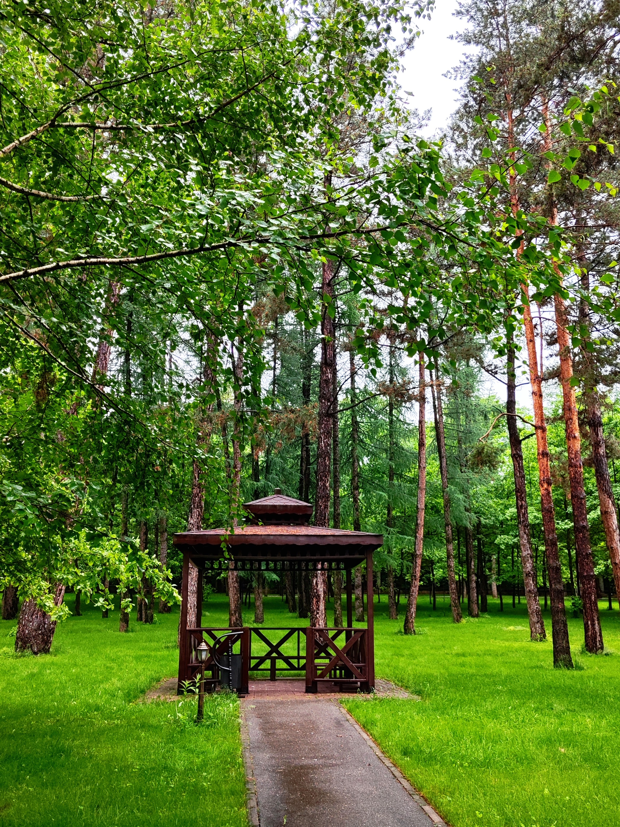 Kazakhstan. Sanatorium complex Okzhetpes Almaty. A beautiful place to relax from the city noise - My, Kazakhstan, Almaty, Nature, Squirrel, Longpost