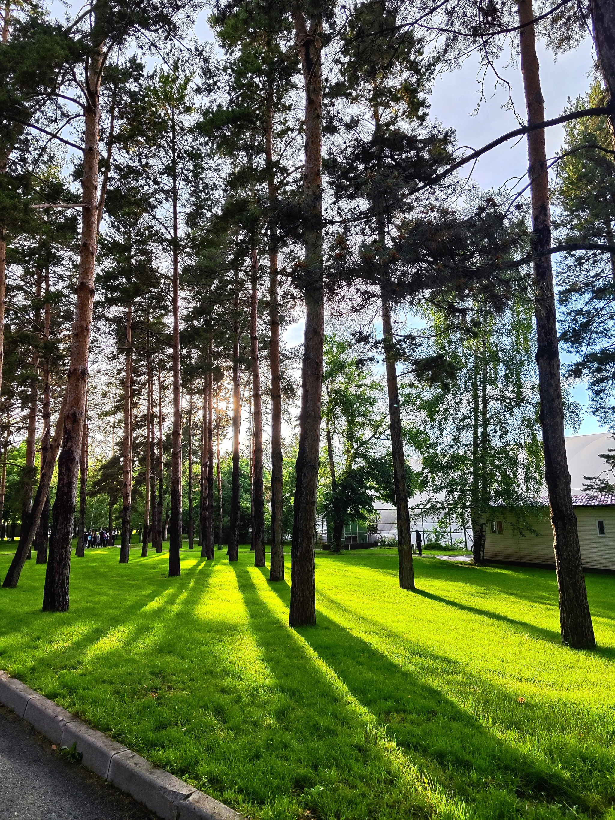 Kazakhstan. Sanatorium complex Okzhetpes Almaty. A beautiful place to relax from the city noise - My, Kazakhstan, Almaty, Nature, Squirrel, Longpost