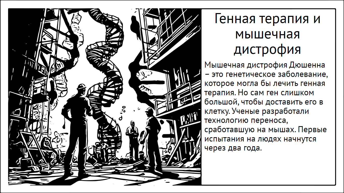 Мышечная дистрофия Дюшенна. Разработка протокола генной терапии для людей - Моё, Исследования, Наука, Научпоп, Генная терапия, Гены, Биотехнологии, Регенеративная медицина