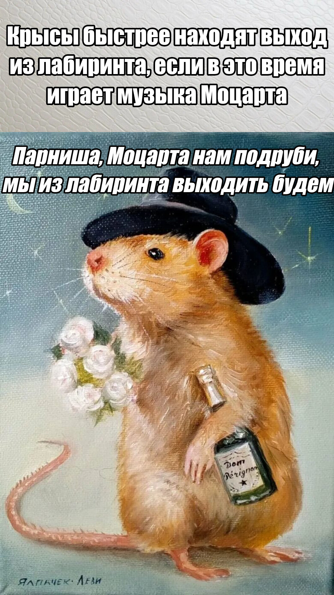 Rats are art lovers - My, A life, Picture with text, Humor, Images, Rat, Art, Memes, Maze, Music, Mozart