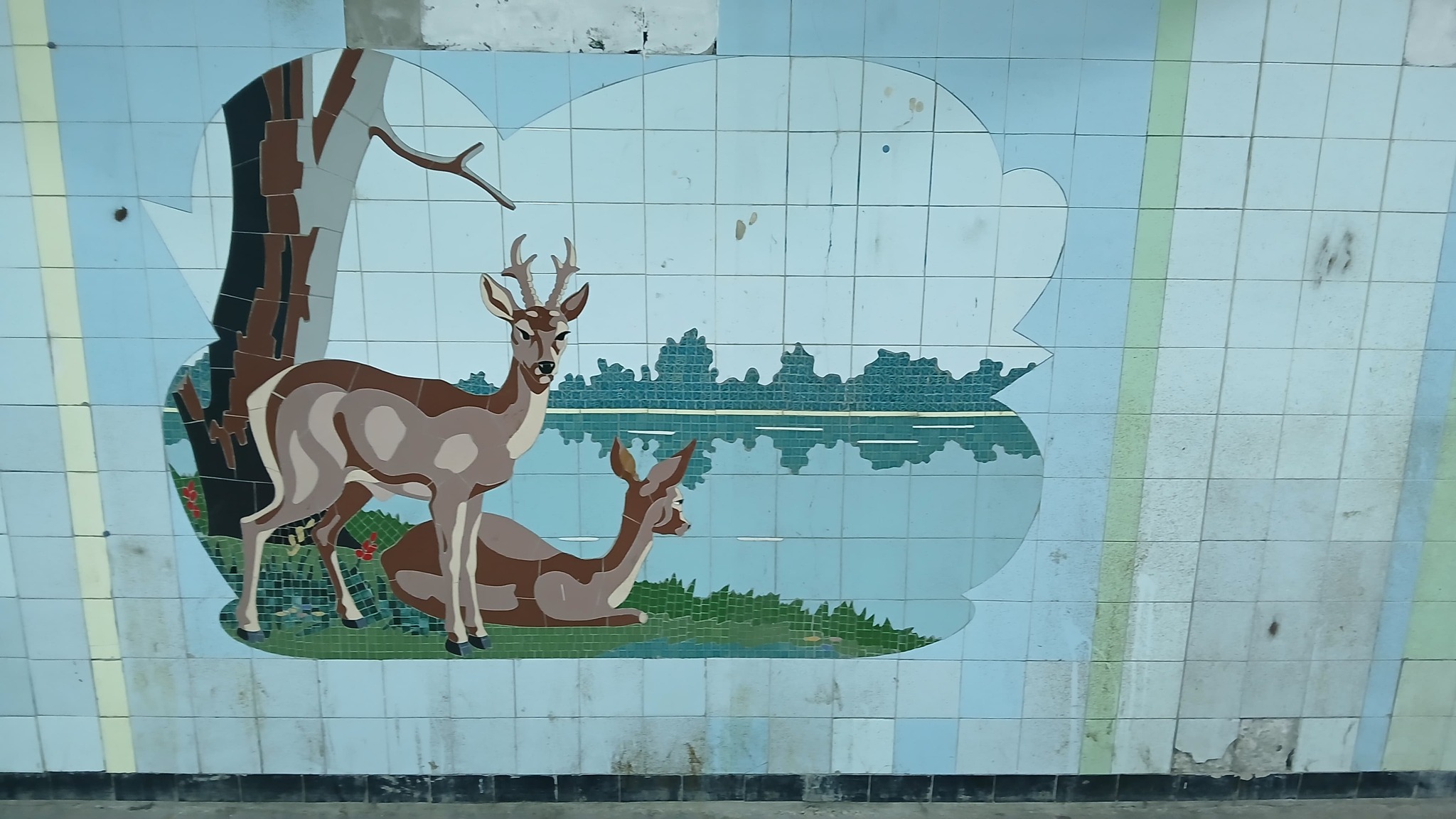 The nature of the Don Region in mosaics - My, Mosaic, Underground pass, Rostov-on-Don, Animals, Longpost