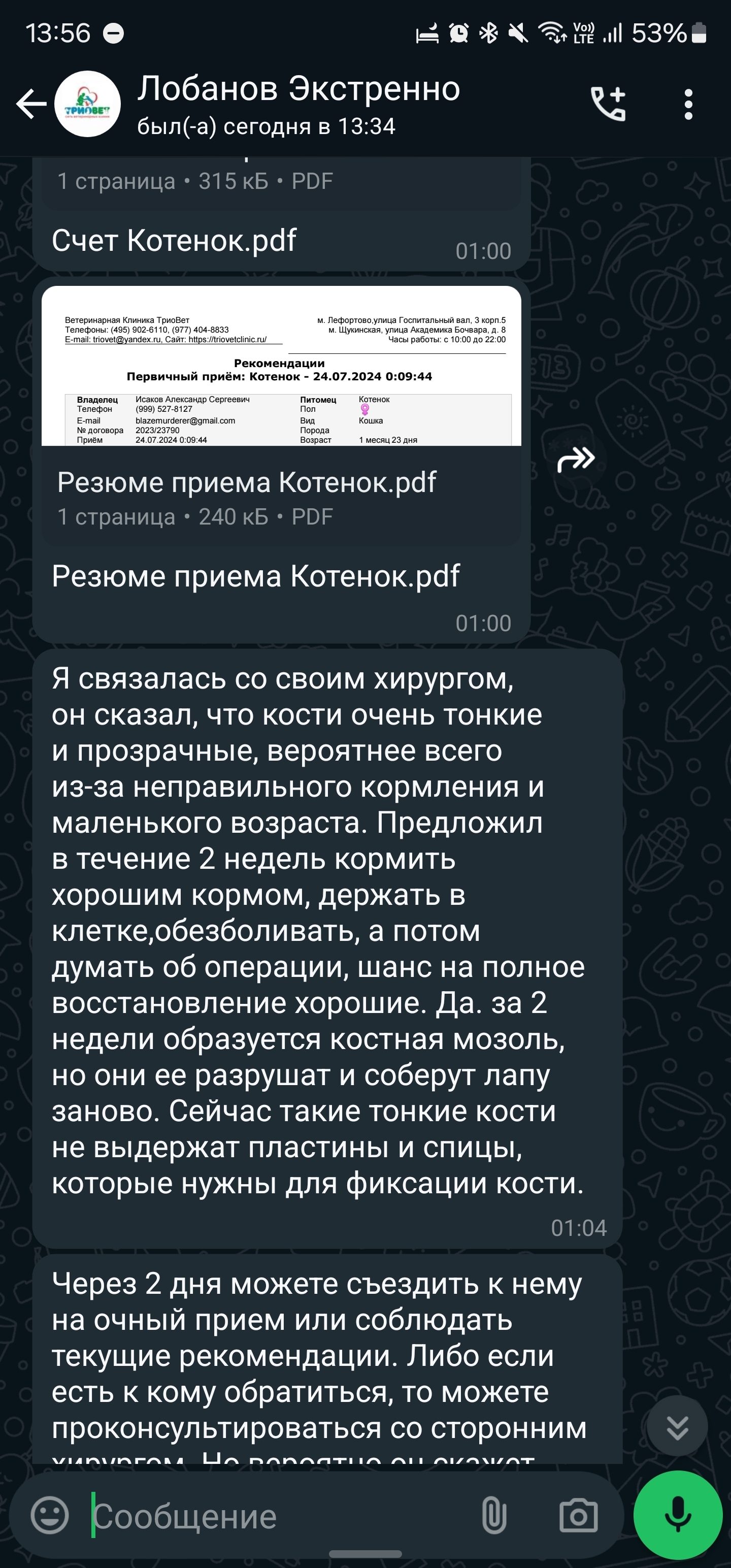 Пост - отчаянный крик о помощи. Прошу, поднимите в топ. Без рейтинга - Кот, Помощь, Без рейтинга, Ветеринария, Видео, Вертикальное видео, Длиннопост, Волна постов