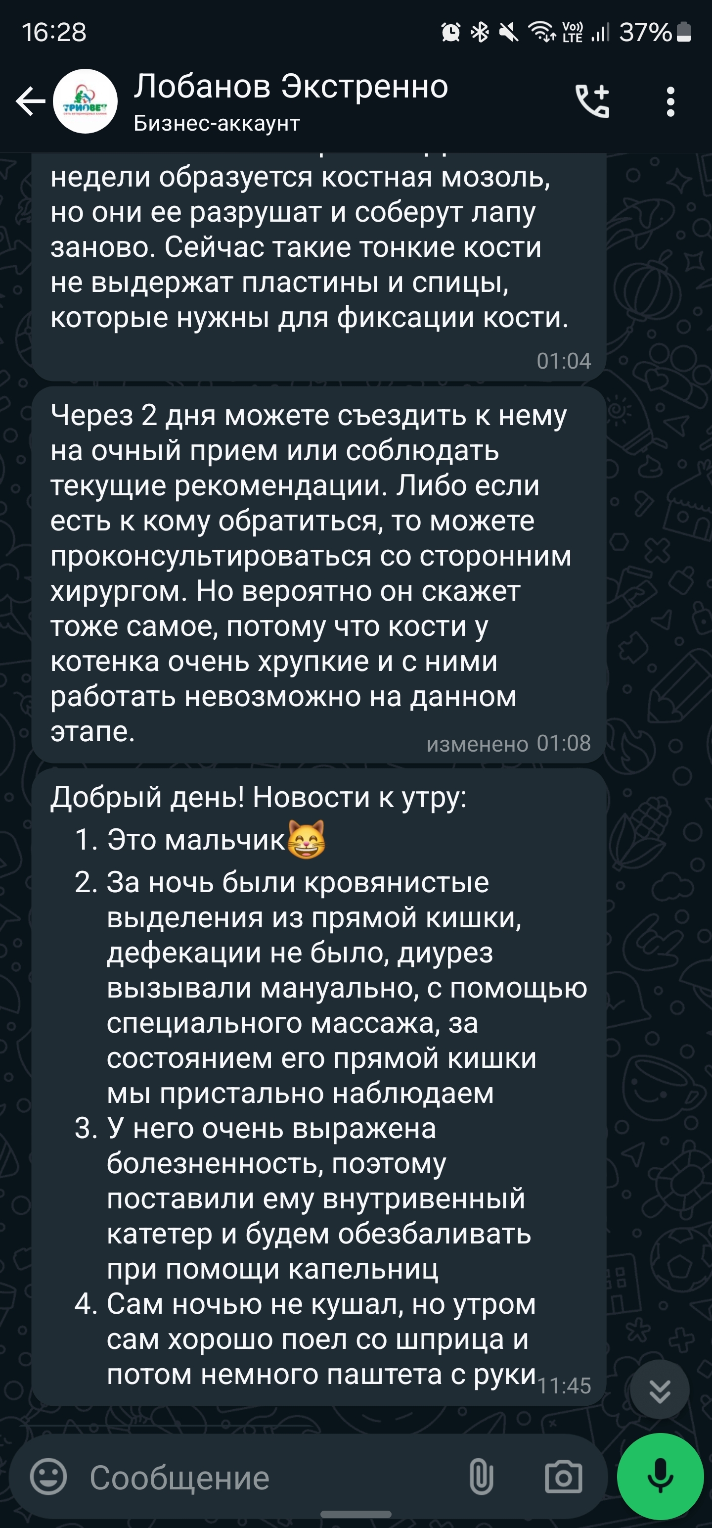 Пост - отчаянный крик о помощи. Прошу, поднимите в топ. Без рейтинга - Кот, Помощь, Без рейтинга, Ветеринария, Видео, Вертикальное видео, Длиннопост, Волна постов