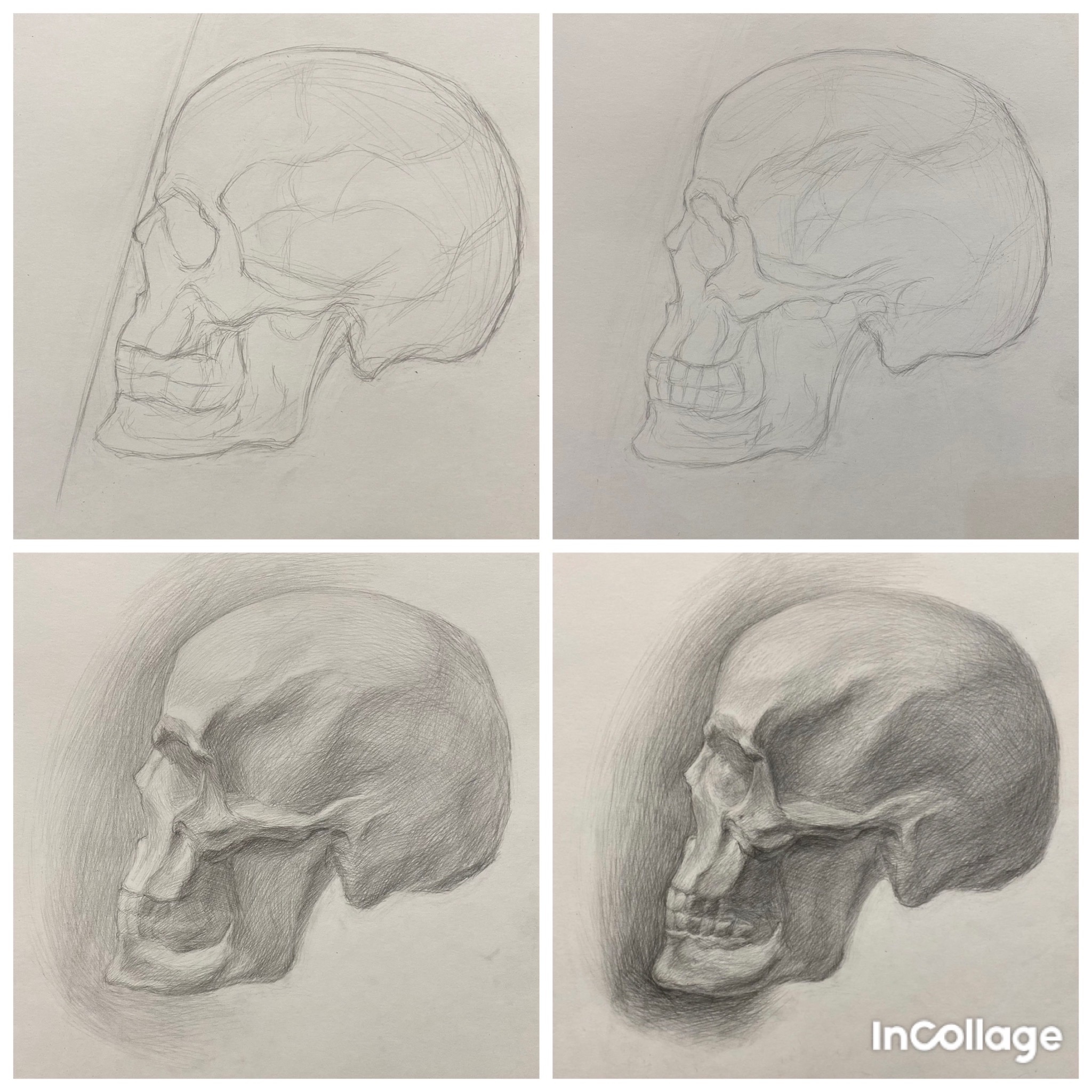 Skull profile + stages - My, Beginner artist, Pencil drawing, Scull, Academic Drawing, Painting, Longpost