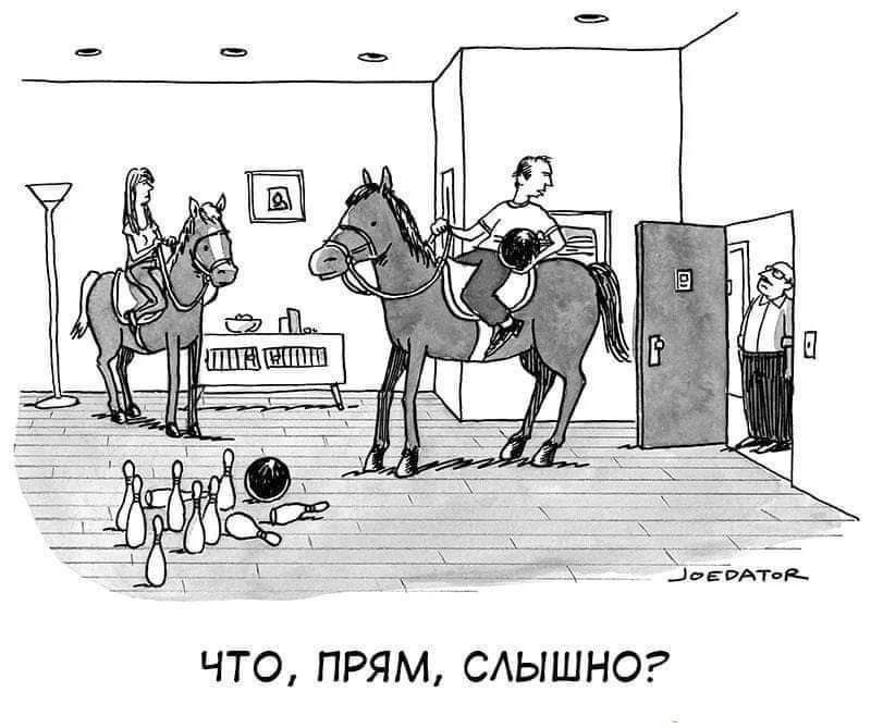 Соседи | Пикабу