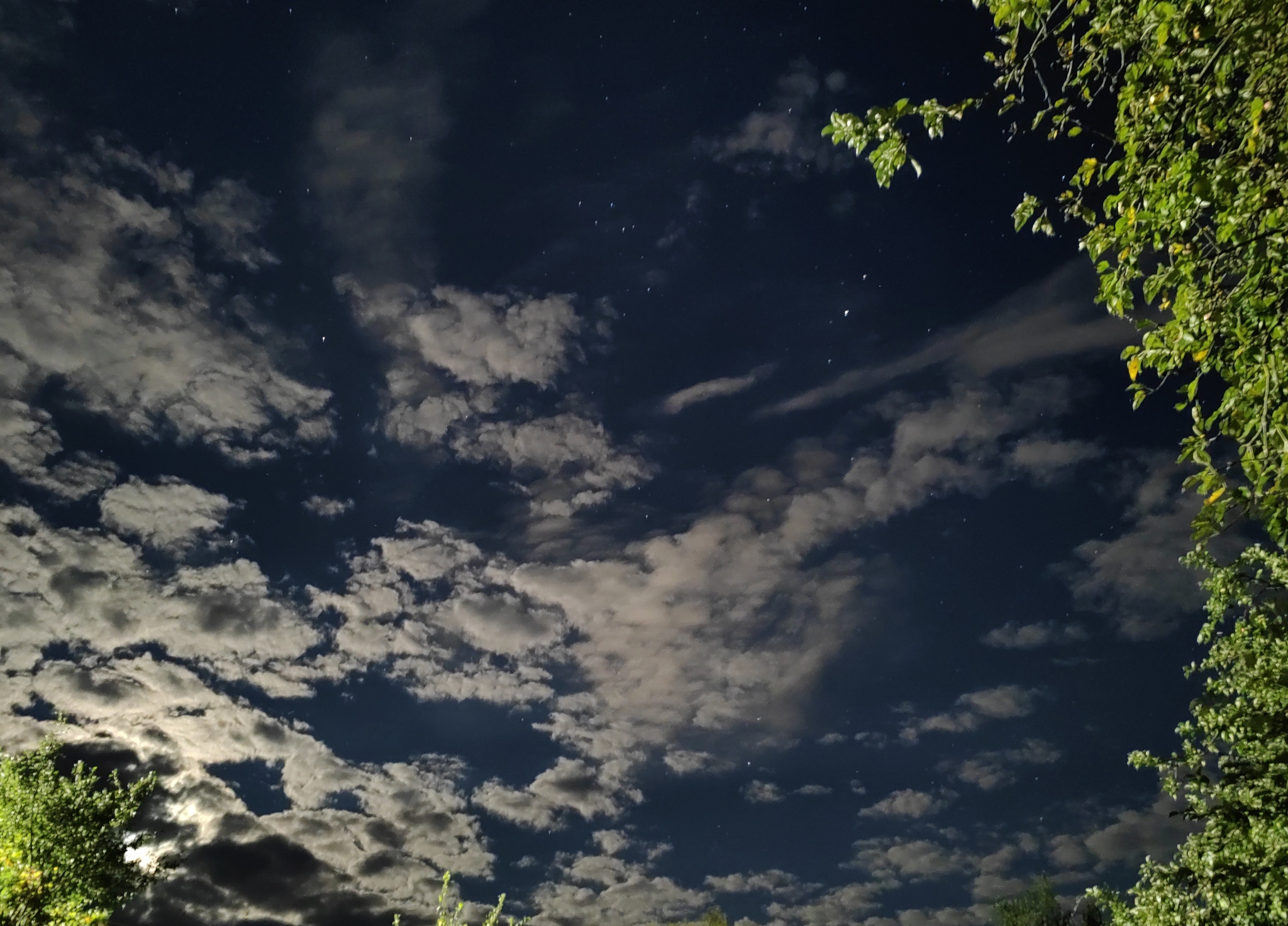 Summer night - My, Mobile photography, Summer, Night, Sky, Moonlight, Stars, Atmosphere, Clouds