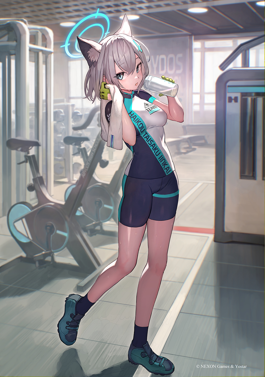 After training - Anime, Anime art, Blue archive, Sunaookami shiroko, Animal ears, Gym uniform