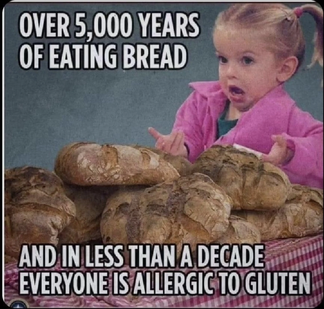 Translation of the picture: “People have been eating bread for 5,000 years, but they have only developed gluten allergies in the last 10!” - My, Bread, Gluten