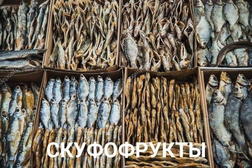 For gold skufs - Skufs, Beer, A fish, Humor, Picture with text, Wordplay, Stockfish