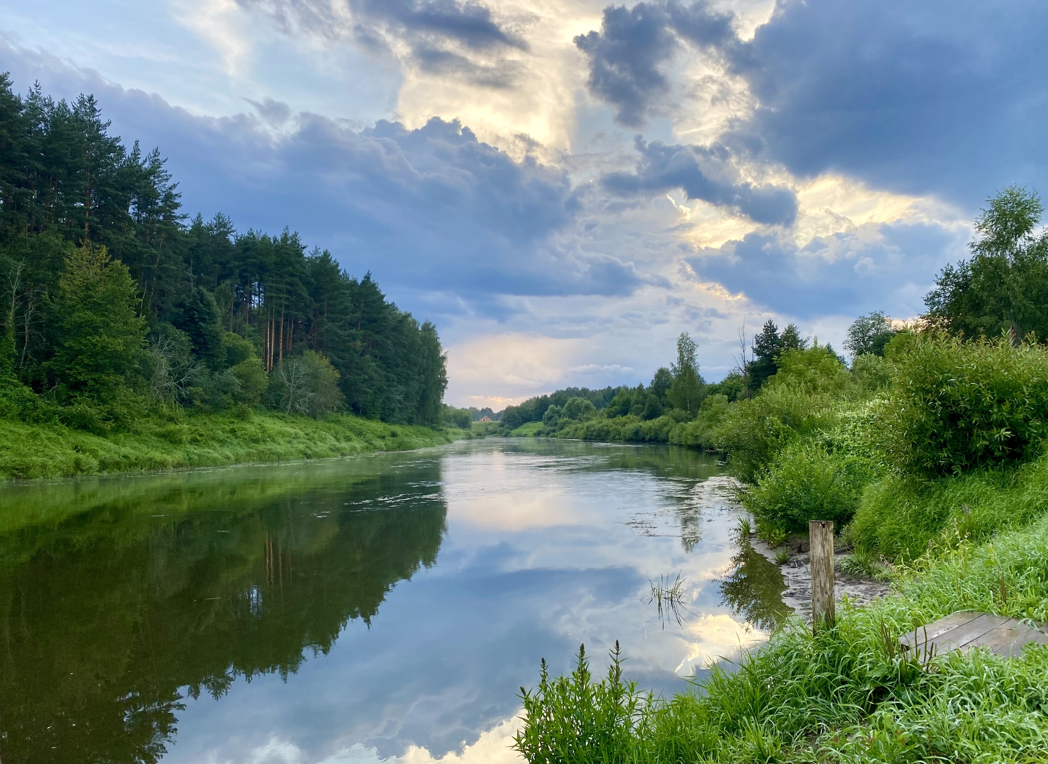 Good evening - My, Mobile photography, Evening, Dacha, Fishing, Bream, Hot smoking, River, Relaxation, Ear, Longpost