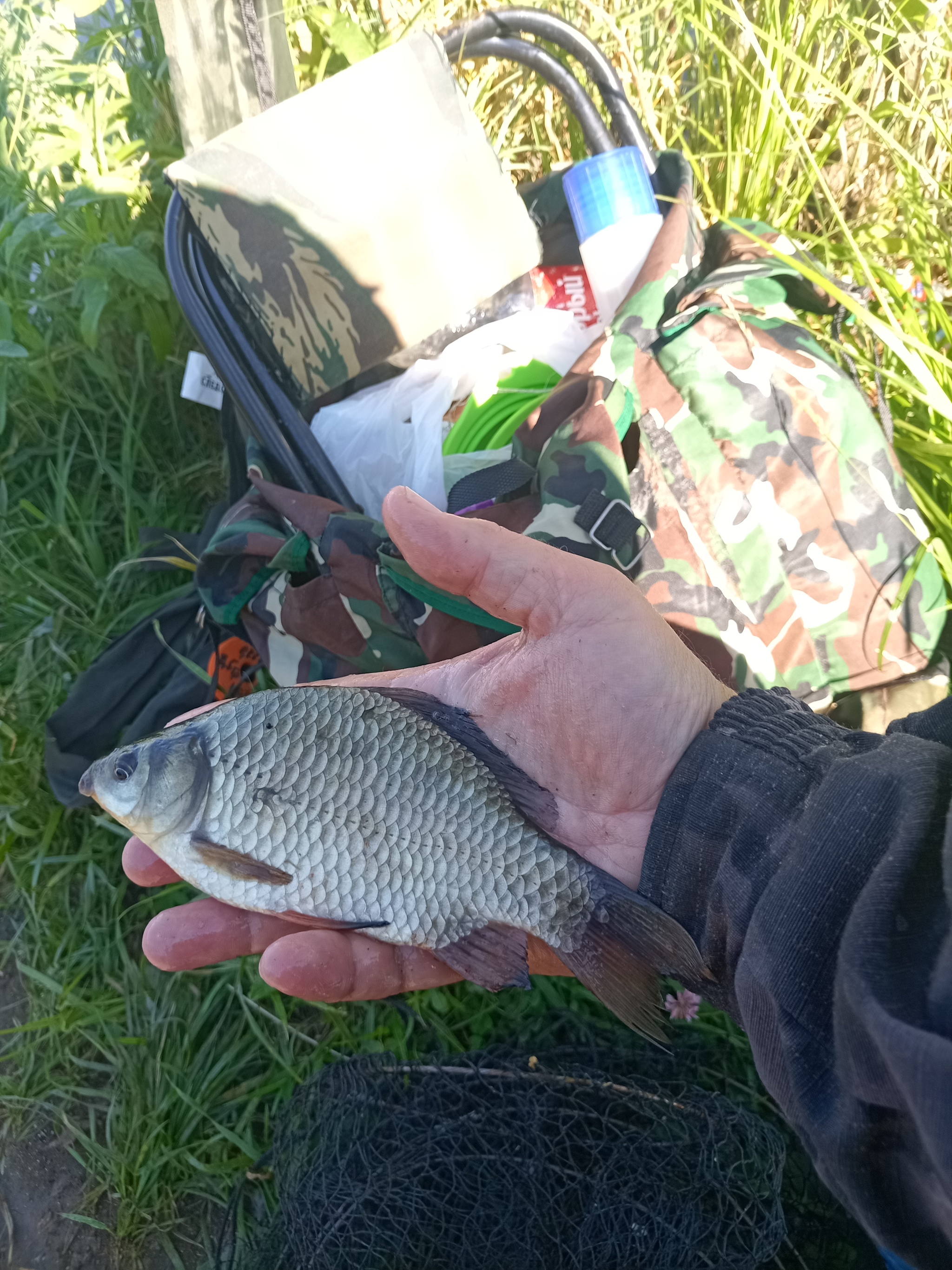 Some photos from recent fishing trips) - My, Carp, Fishing, Float, Crucian carp bait, Longpost