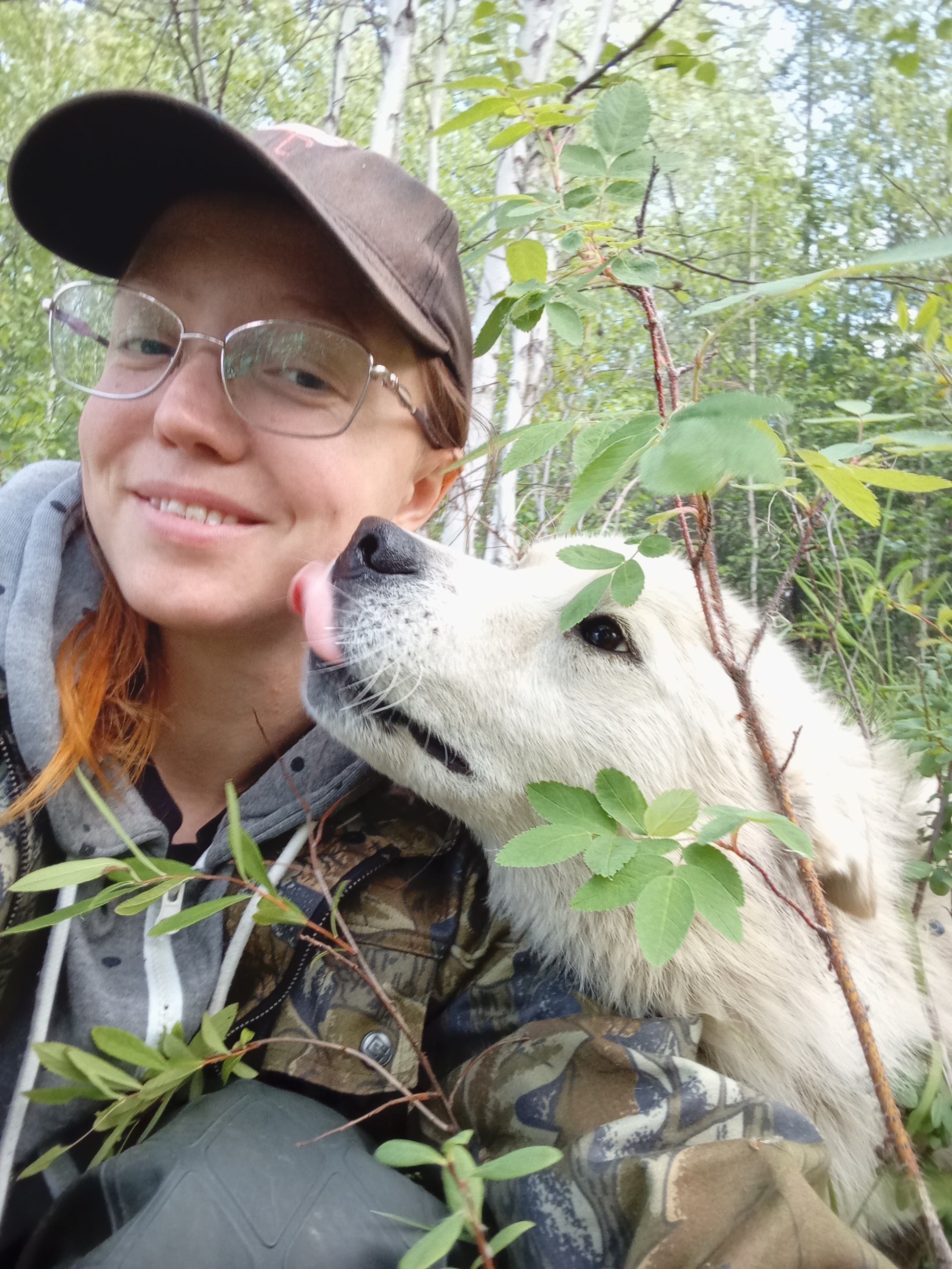 Life on TDS in the taiga. Blueberry picking - My, Forest, Mushrooms, Berries, Weather station, Taiga, Blueberry, Longpost