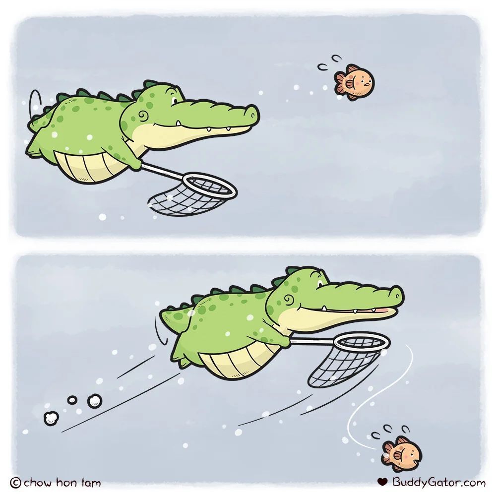 Catcher - My, Comics, Translated by myself, Alligator, A fish, Catching, Garbage, Don't litter!, Workout, Buddygator, Longpost