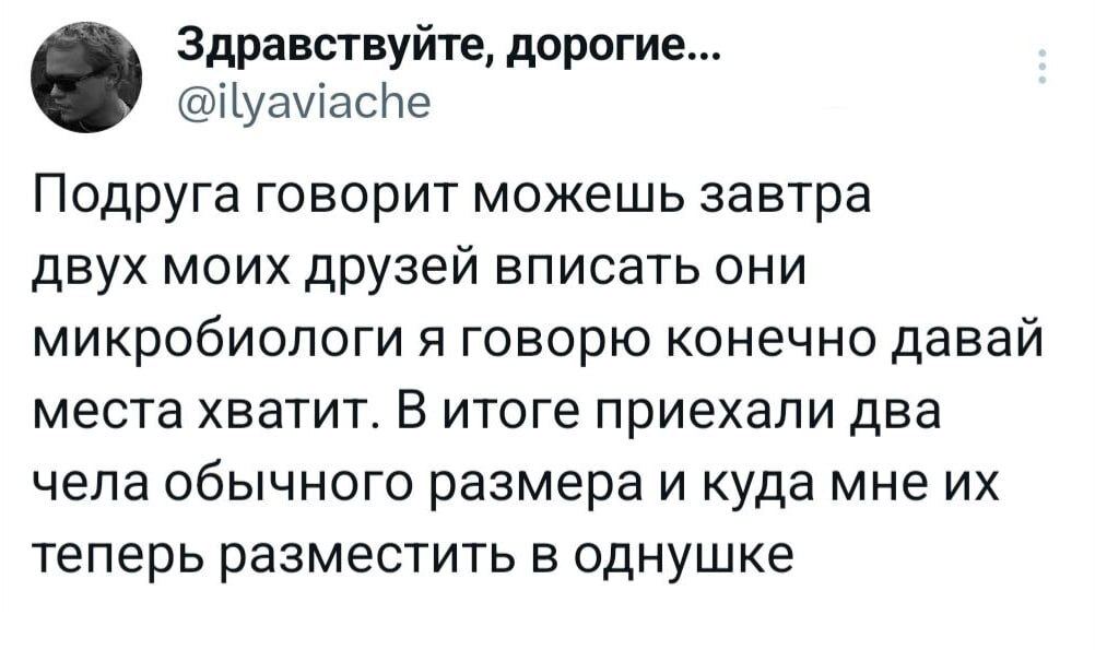 Да, это мое чувство юмора - Юмор, Мемы, Картинка с текстом, Микробиология, Twitter, Скриншот, Странный юмор, Однокомнатная квартира