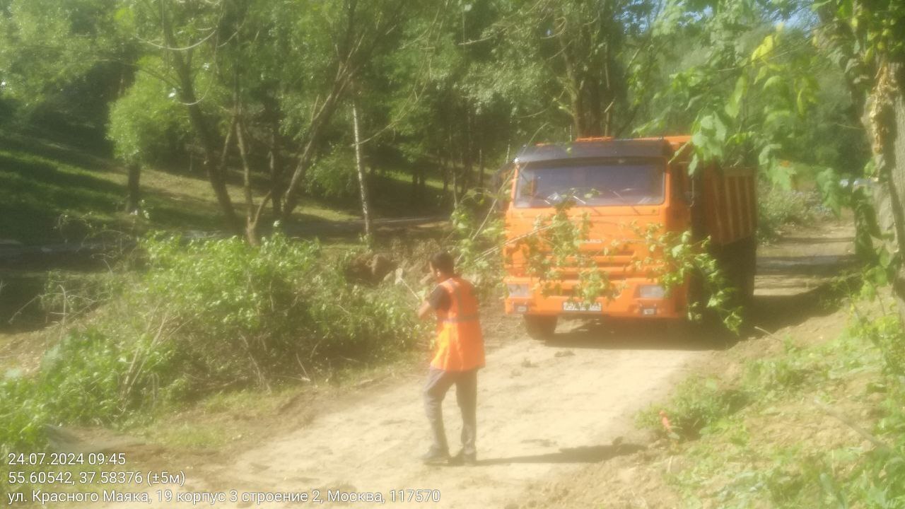 People's correspondents of EcoGrad sent to the editor a photo of logging in the Valley of the Gorodnya River, in Moscow - Ecology, Moscow, Eco-city, Longpost