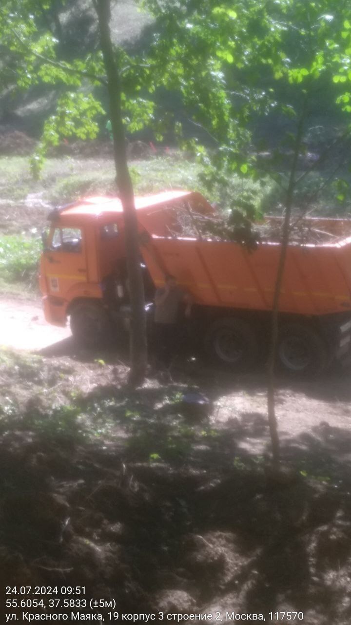 People's correspondents of EcoGrad sent to the editor a photo of logging in the Valley of the Gorodnya River, in Moscow - Ecology, Moscow, Eco-city, Longpost