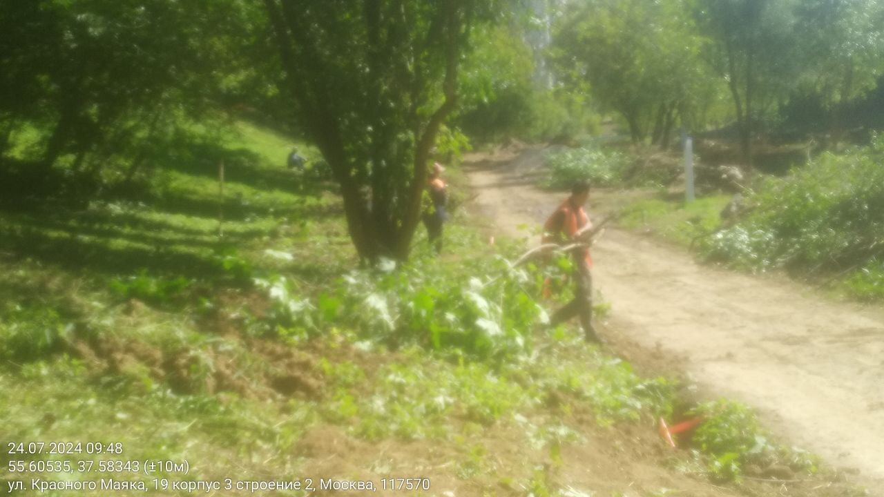 People's correspondents of EcoGrad sent to the editor a photo of logging in the Valley of the Gorodnya River, in Moscow - Ecology, Moscow, Eco-city, Longpost