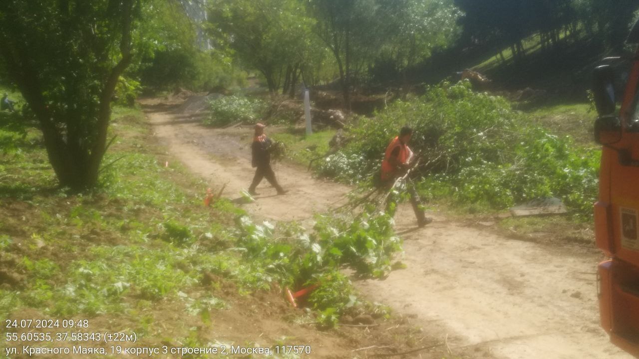 People's correspondents of EcoGrad sent to the editor a photo of logging in the Valley of the Gorodnya River, in Moscow - Ecology, Moscow, Eco-city, Longpost