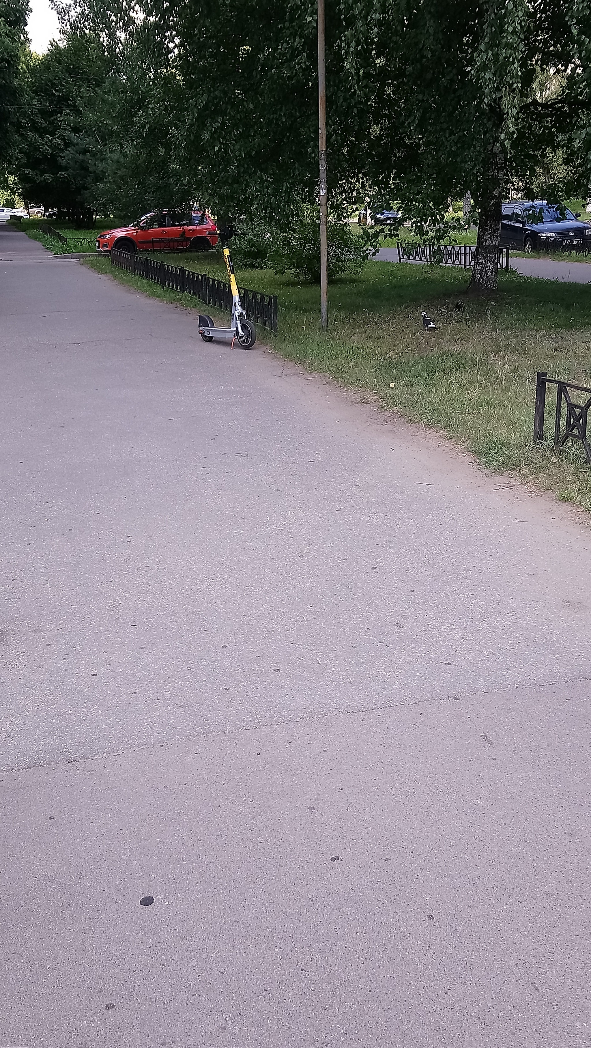 Electric scooter parking in St. Petersburg... - My, Stupidity, Infuriates, Saint Petersburg, Scooters, Longpost