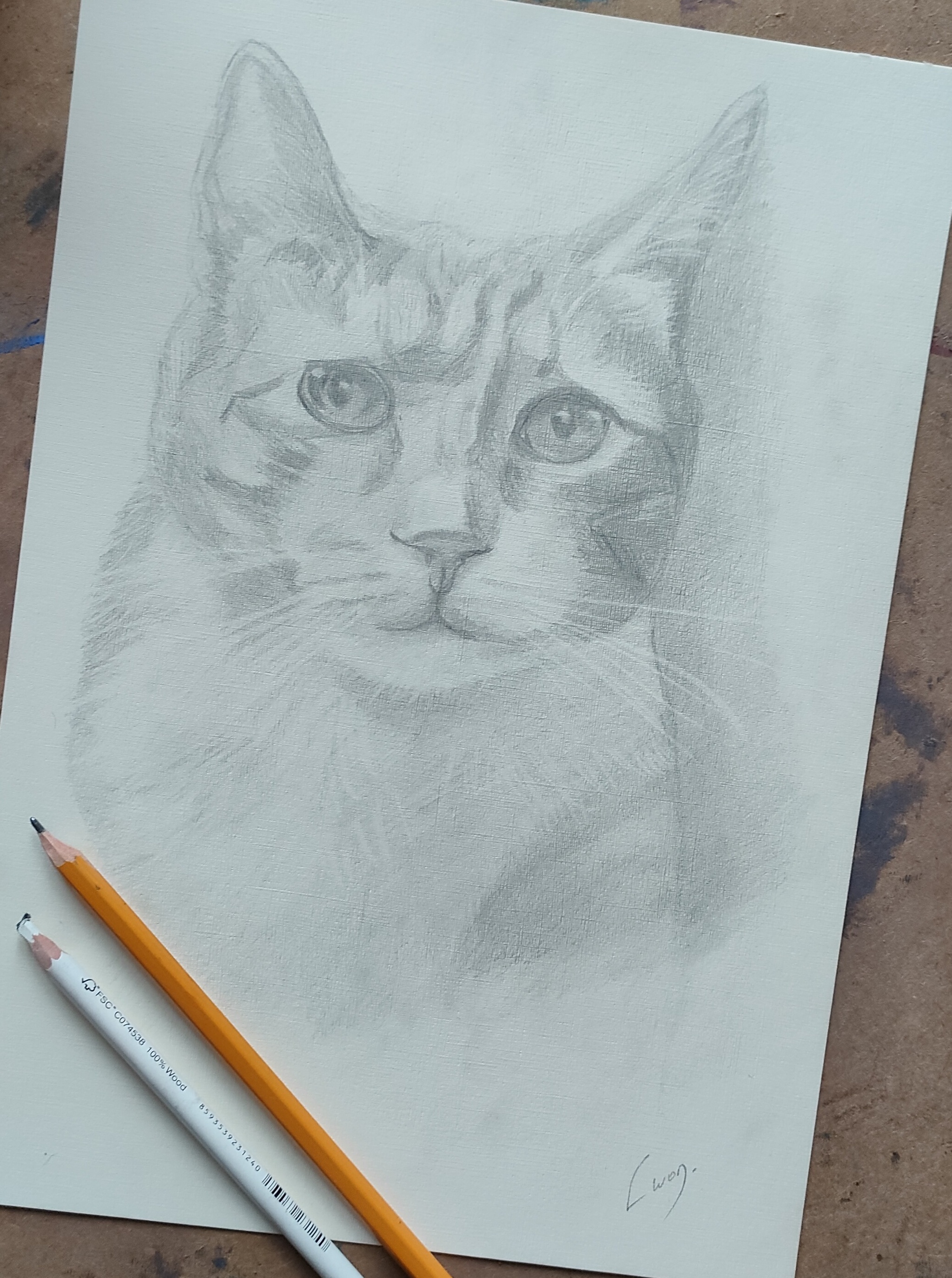 Cat portrait No. 1 Kuzma - My, Painting, Pencil drawing, Drawing, cat, Challenge, Beginner artist, Watercolor, Colour pencils, Animalistics, Traditional art, Longpost