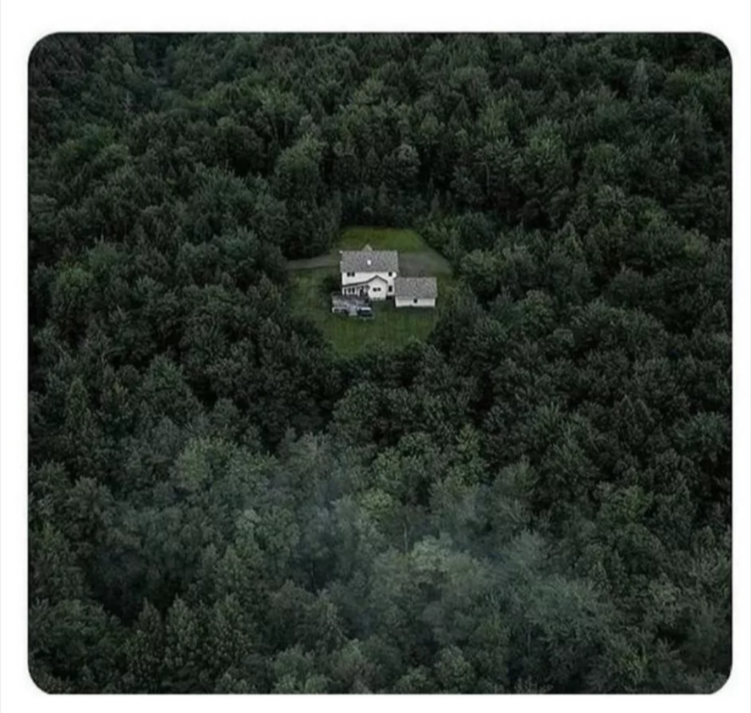 The dream of many - House, Forest, Loneliness, Dream, House in the woods