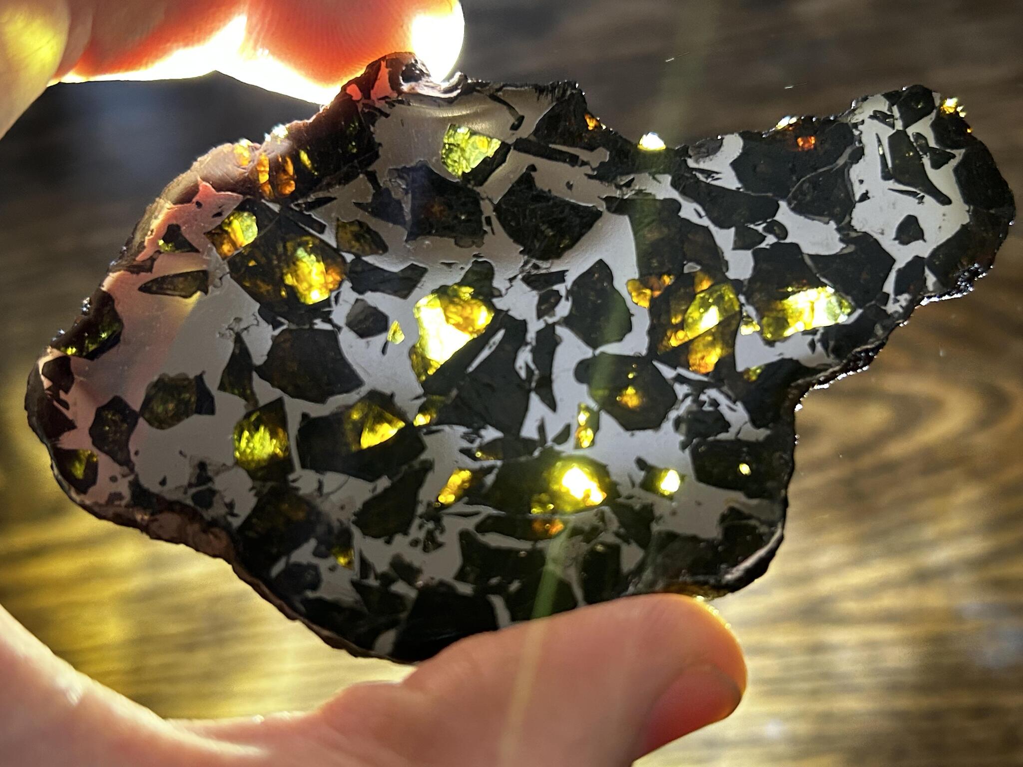 Beautiful Pallasite - Meteorite, Paleontology, Pallasites, Amazing, Space, Universe, Asteroid, Meteor, Ebay, Purchase