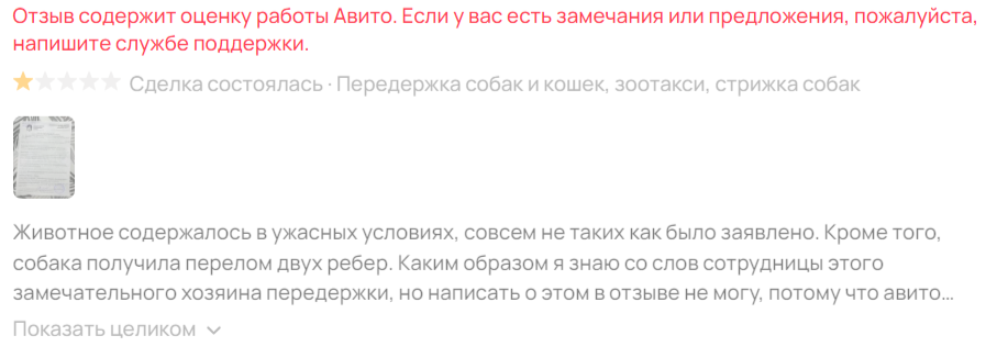 Как авито чистит отзывы передержке, где избили мою собаку - Проблема, Сервис, Негатив, Авито, Защита животных, Жестокое обращение с животными, Передержка, Видео, Вертикальное видео, Длиннопост