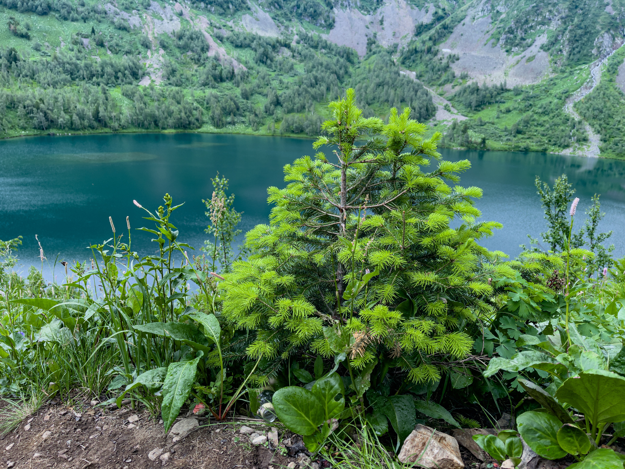 Ivanovo Lakes near Shir - My, Mobile photography, Siberia, Ivanovo Lakes, Longpost