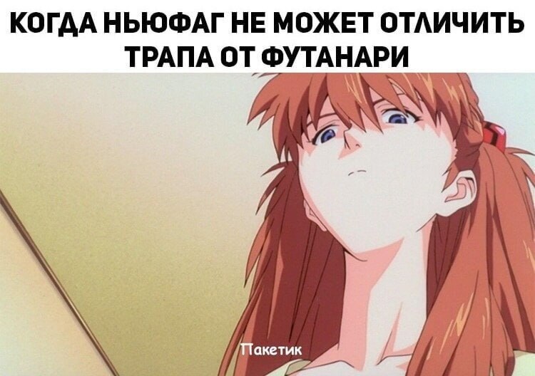 Large selection of Evangelion memes - Anime memes, Anime, Picture with text, Evangelion, Video, Vertical video, Longpost